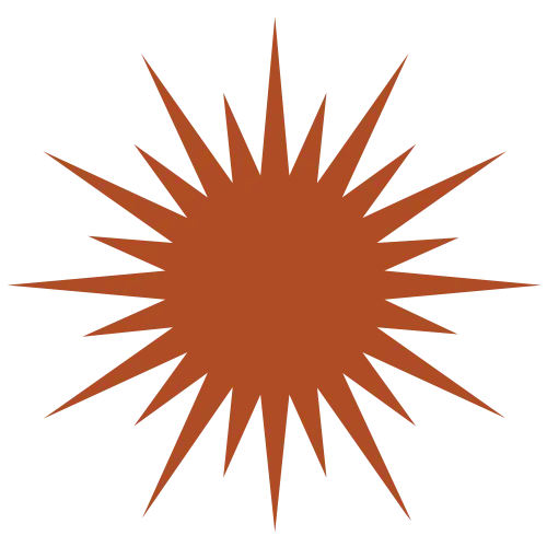 Current Board Member