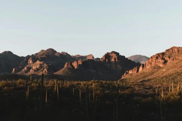 Apache Junction HOA Management